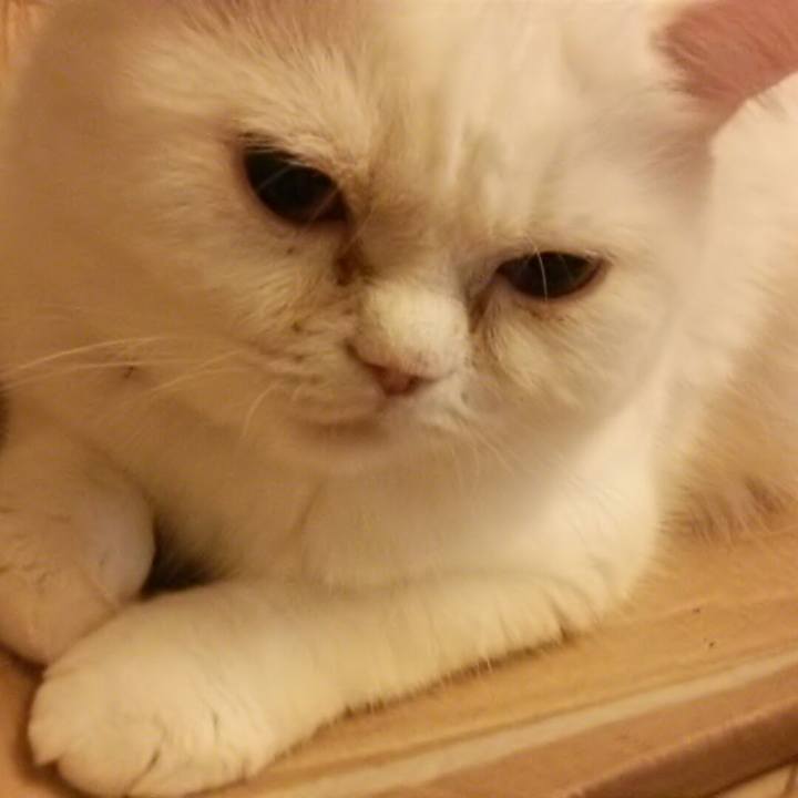 0f40dee2 648b 41e8 8b52 5a4bfbf1d041