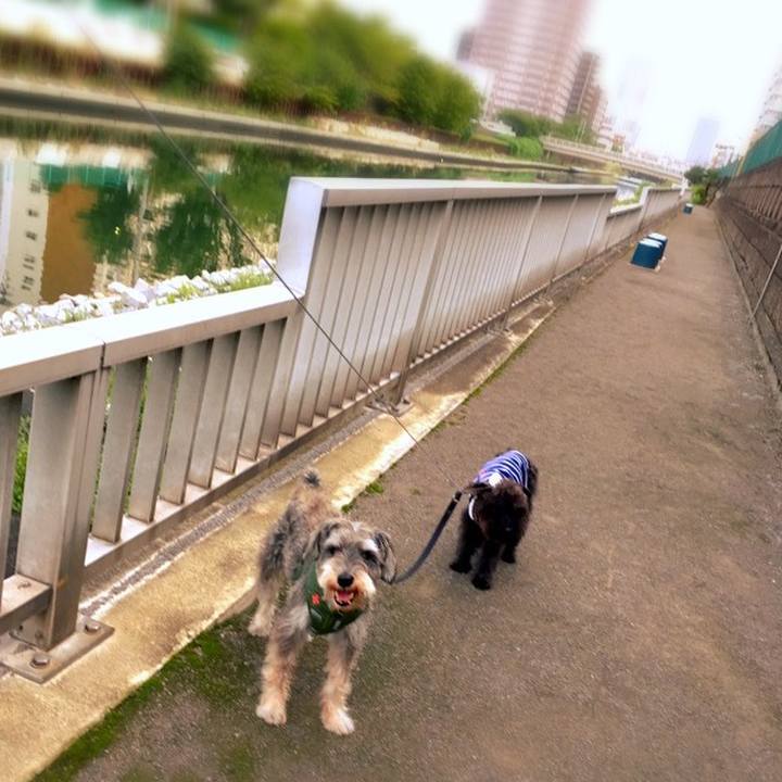 0f40e36e 3733 480f 9ec6 3f4c68281999