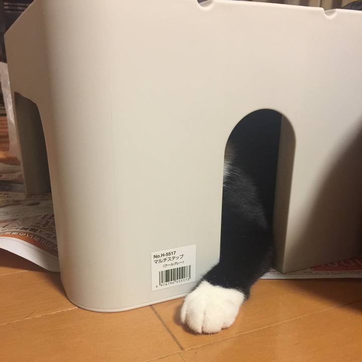 0f423af3 dd50 463c 8350 c77a6f079b56