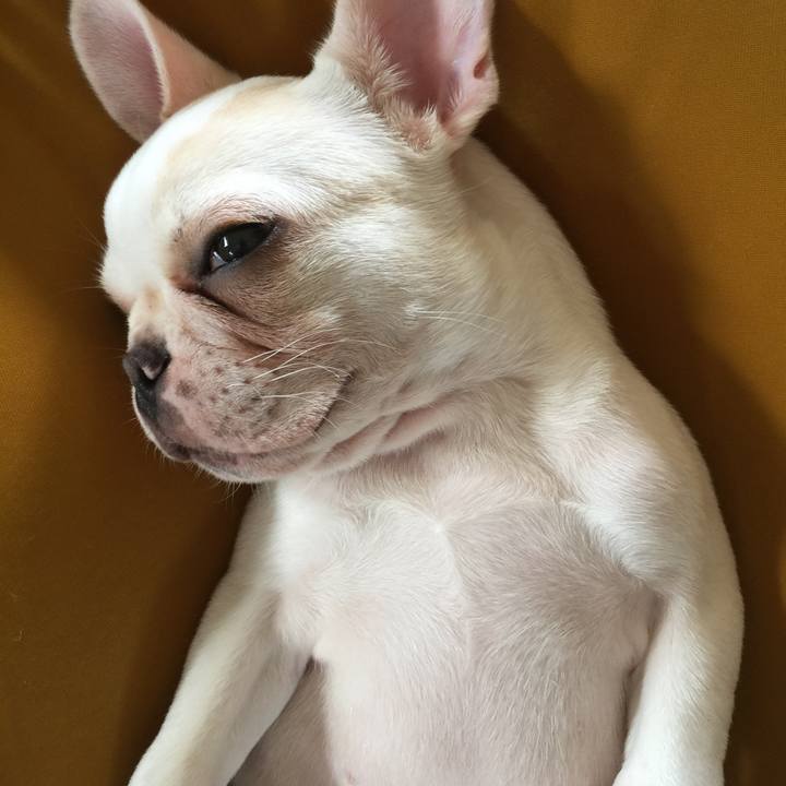 0f42decc 377b 4bbe ac87 d62644fe5b5d