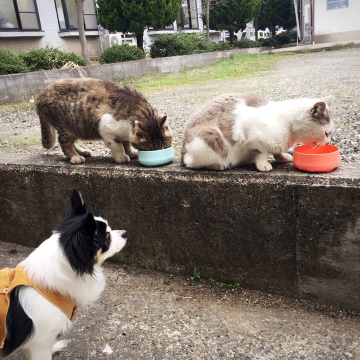 0f444d8a ee81 4cdf a1c8 89141d35e199