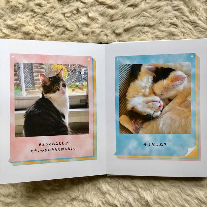 0f4515cf 7666 4518 b4e6 2cba6c467542