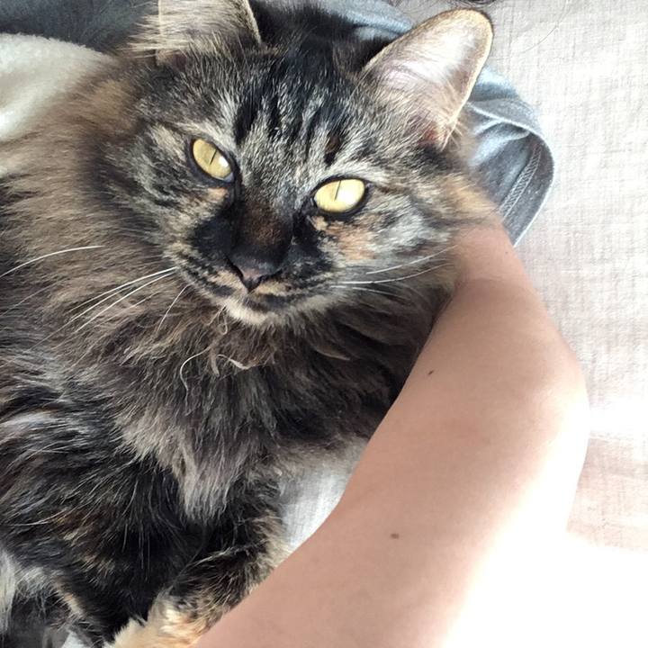 0f46066c e75f 4068 affc 1f77a1f0f1cd