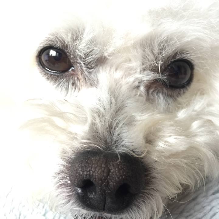 0f467f90 1fa9 4cff 9426 f5b8a58de62f