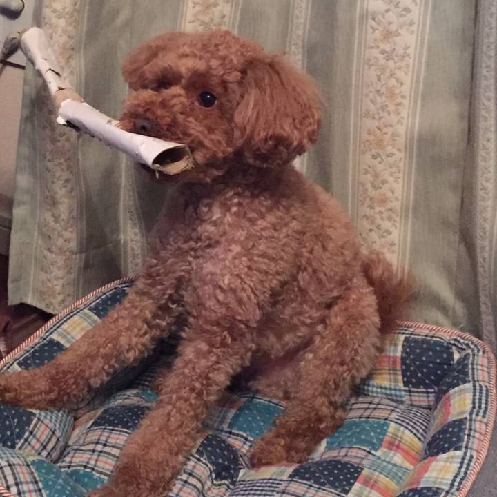 0f46de60 c342 46a9 8f2e 07b5918cc2bc