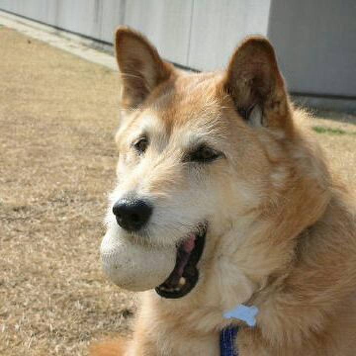 0f4704ea 4c4a 4926 9e29 f61ab62b7004