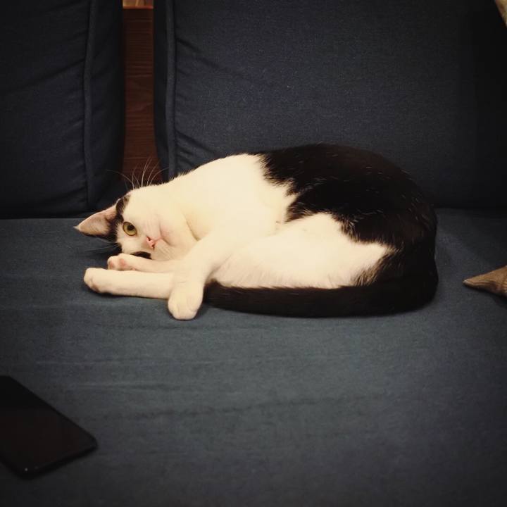 0f47d302 1a4d 4b05 9f9b 4852963eb837