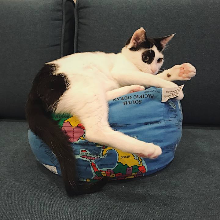 0f498989 9601 48d9 a399 c8f3397a612d