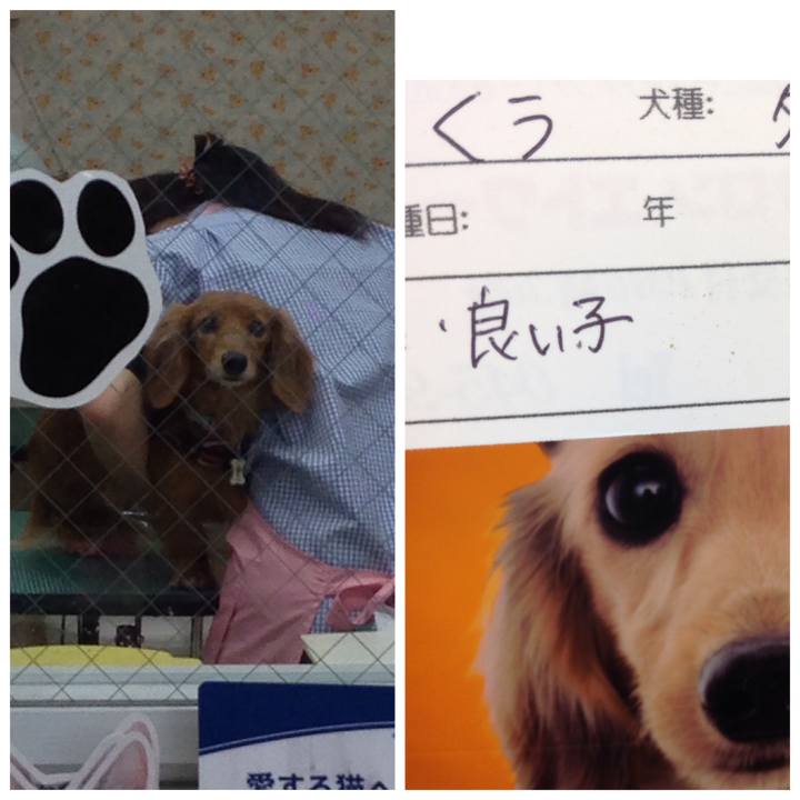 0f49c15b 2a60 4437 bcb9 3dac1751e1cd