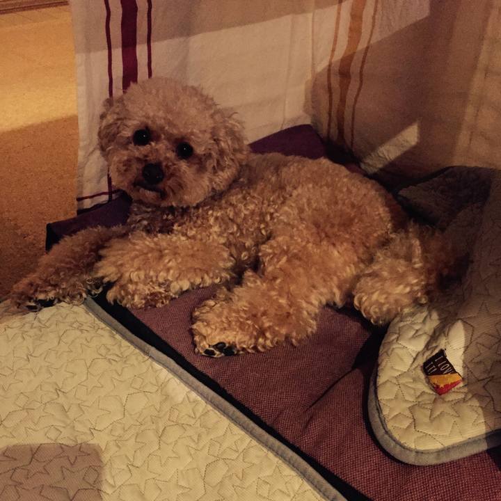 0f49e33a 683e 487c ad9b 809baef591dc