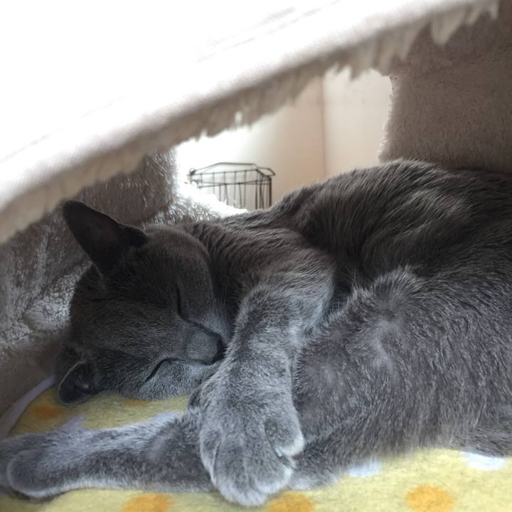 0f4a6d5d 1034 405c ab84 807ad2cf7474