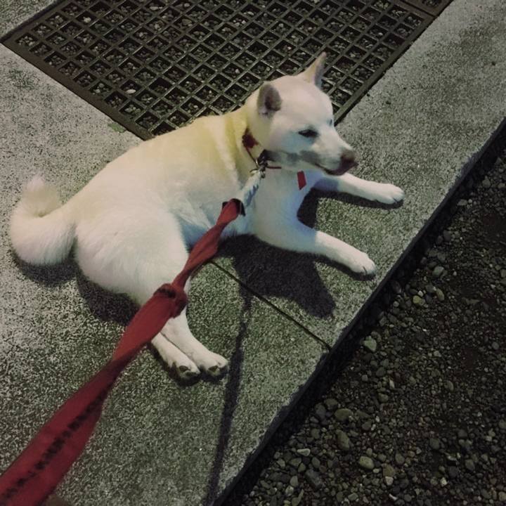 0f4b4e07 b6c8 415c 9a9e d5947e548797