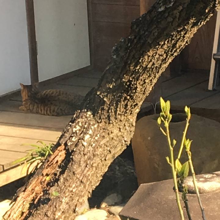 0f4b9386 b5e6 4da7 8a81 46e5a57b60b8