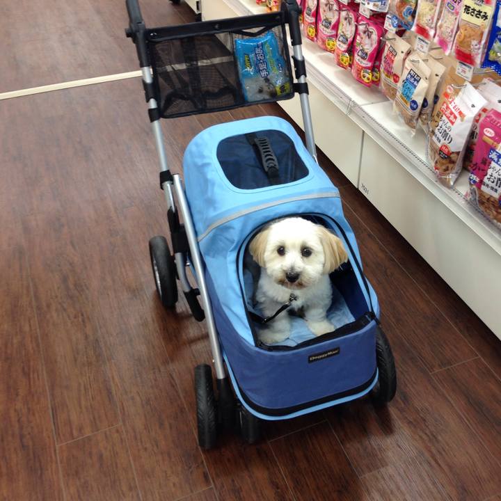 0f4becfb ccaf 4adb a768 9b66a67c9df1