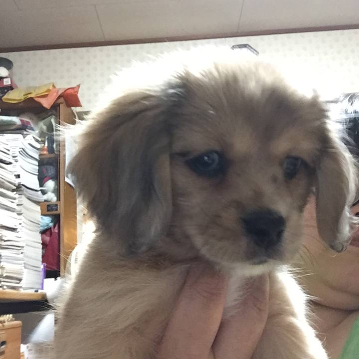 0f4c08c7 816f 4e4d 9e04 275d9edd66e9