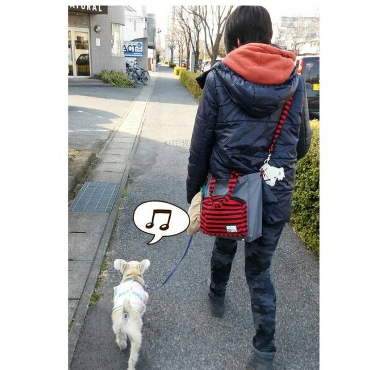 0f4c2a3b 5ffe 4c5f 93d8 1017a478a640