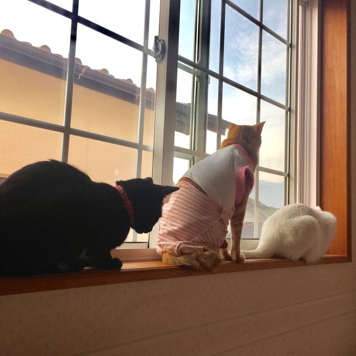 0f4c680e 752a 4ab7 bcbe 27592f8b18ec