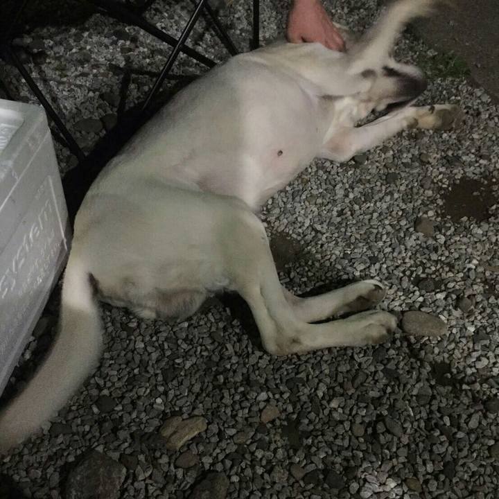 0f4c824b d9cb 4ec2 aff3 b18d5395504b