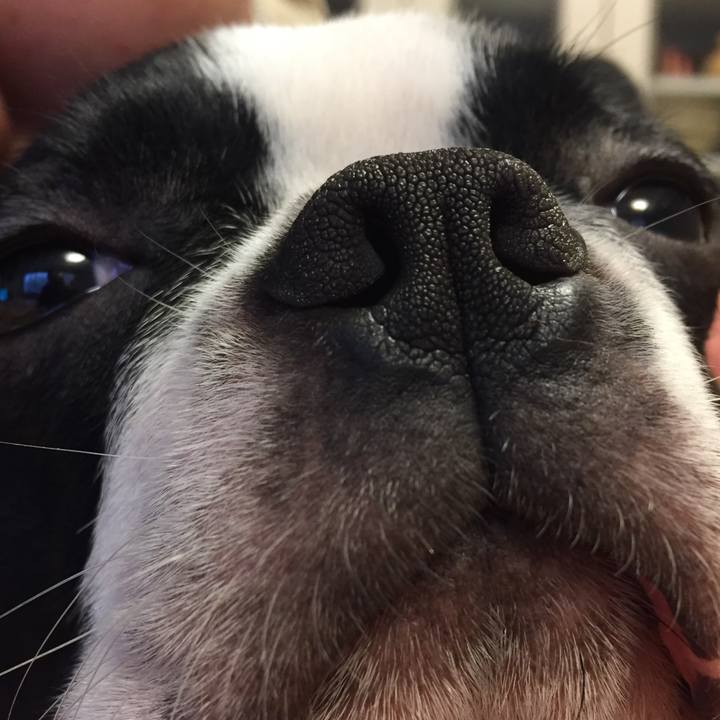 0f4c8b0e 37ba 4501 932a 34b357a48400