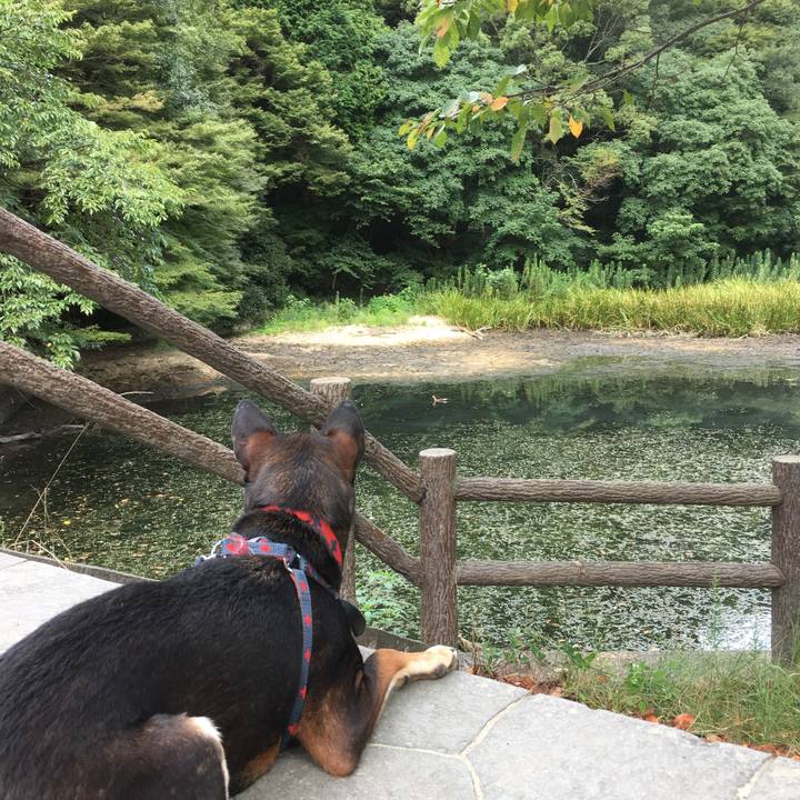 0f4cdc28 7643 4852 866a eeb47baf17f8