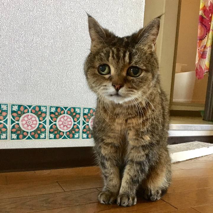 0f4d296d d6e3 49d6 a4af dc5908f5e3e9