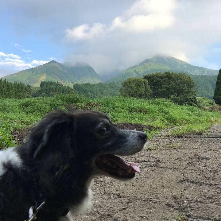 0f4d622f dd73 4f41 beba b4061d6b58d9