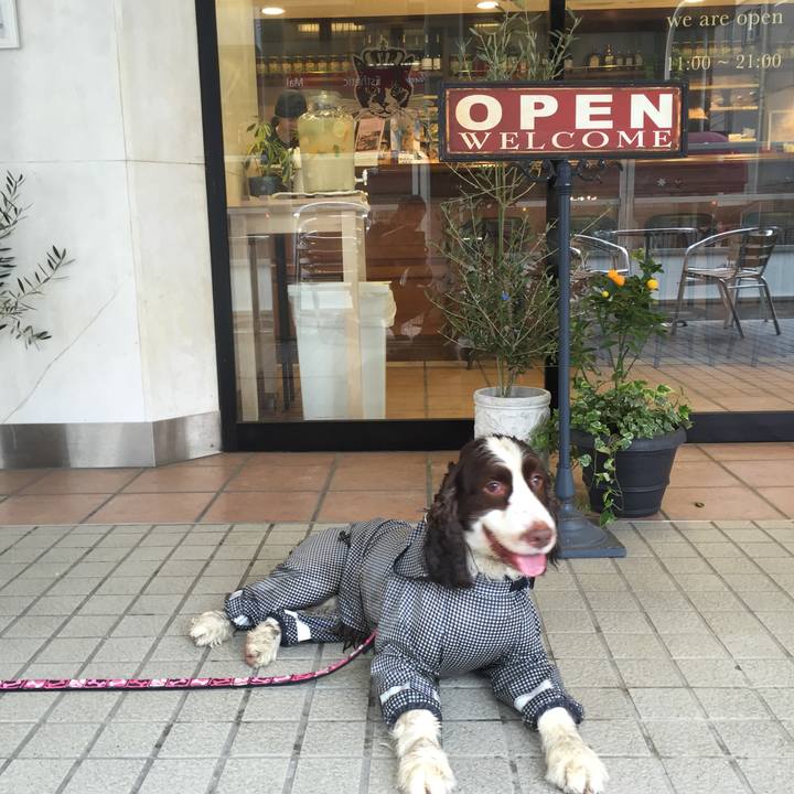 0f4db8ef 65be 4a4c a66d 5779b41dc87f