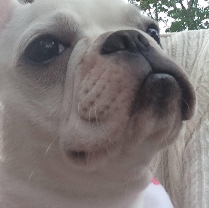 0f4dbd89 d2f8 47a6 9738 90e46ac4cd51