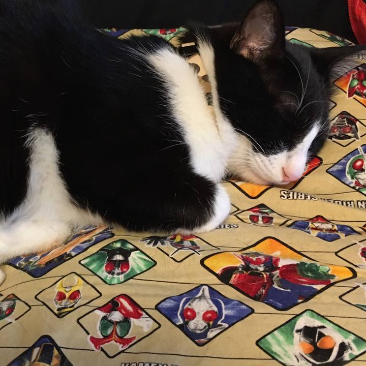 0f4f3233 df15 4184 b341 7e92ebd28fa7