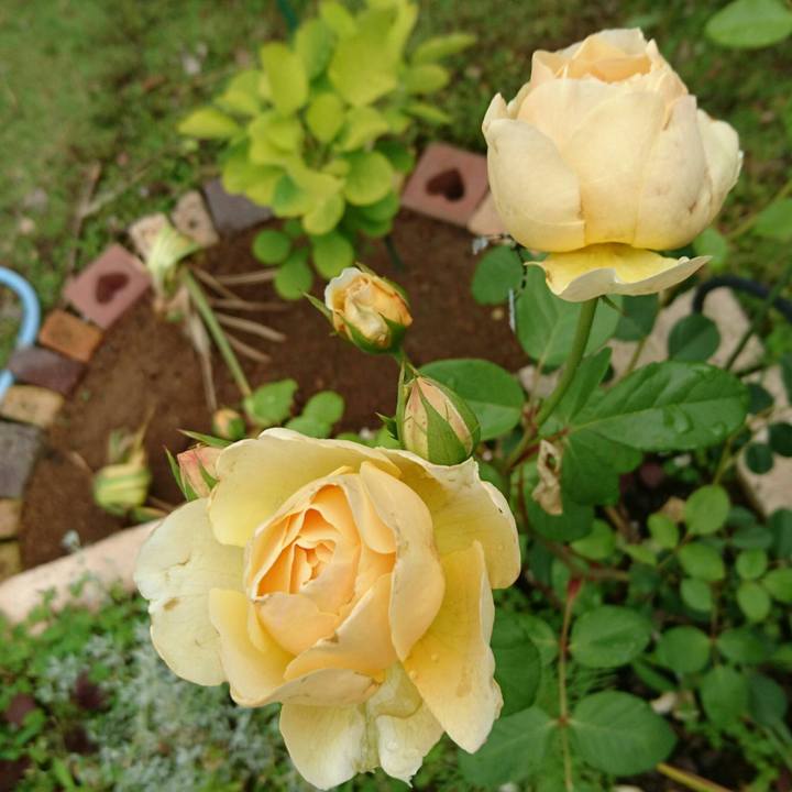 0f51522e 4a28 4f93 bf2c 03869b4cf5b4