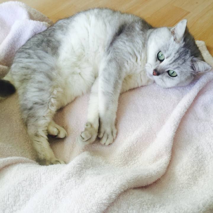 0f516c4f 4454 454c 9c35 e89baa990592