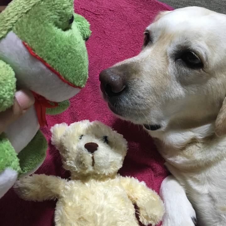 0f5194f2 48a3 4ed4 8b93 2c7845aacd10