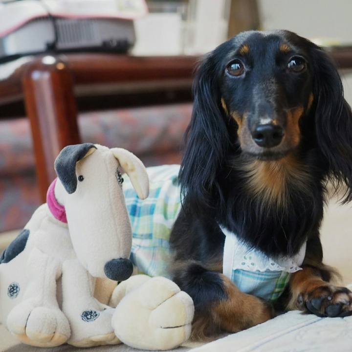 0f522901 591b 4f86 9019 ff2eeeed2ea6