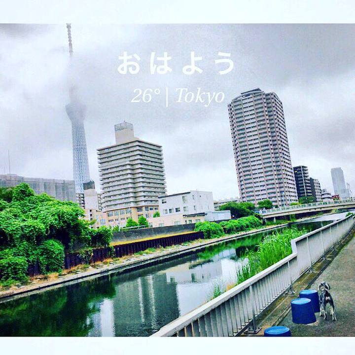 0f528309 24b0 4781 908d 6e1427c7bc6c