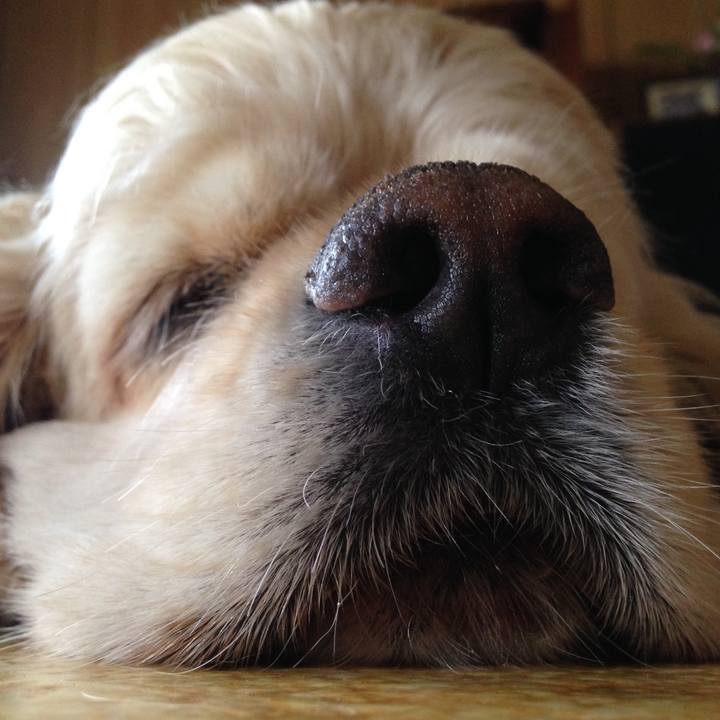 0f52b139 8fe7 4697 8ba8 5a30ea6dd23b