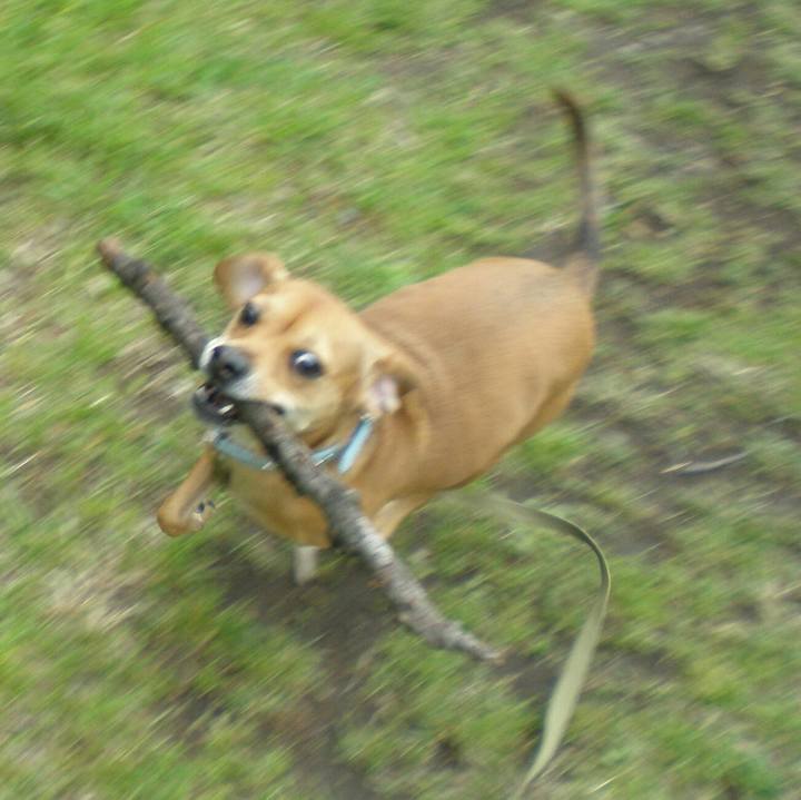 0f53b7af 40d6 44c4 947e 378040514799