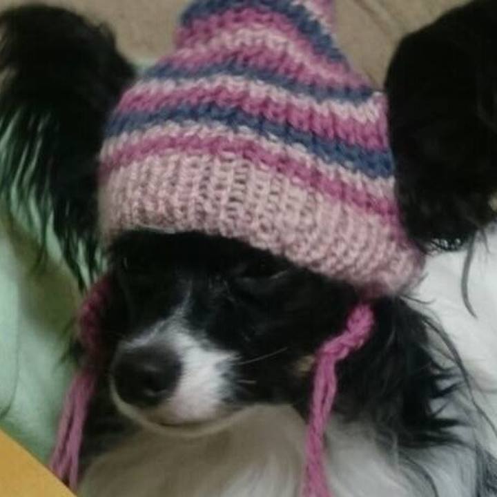 0f53f71c 0f71 47de b293 5773a9ba4455