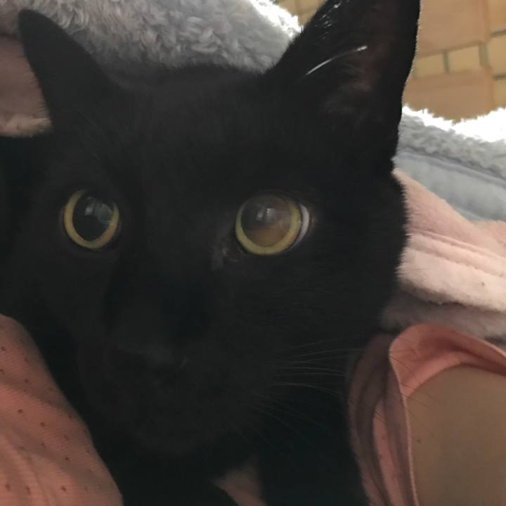 0f53f8da 73e2 437e bdc7 3486ef1156e8