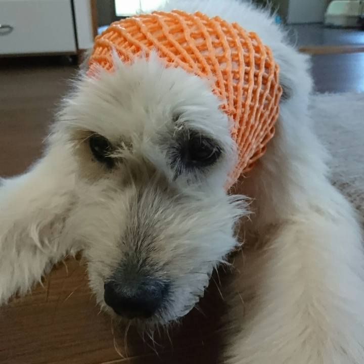 0f545d4e 9430 4164 8c3f 15d28cfa41eb