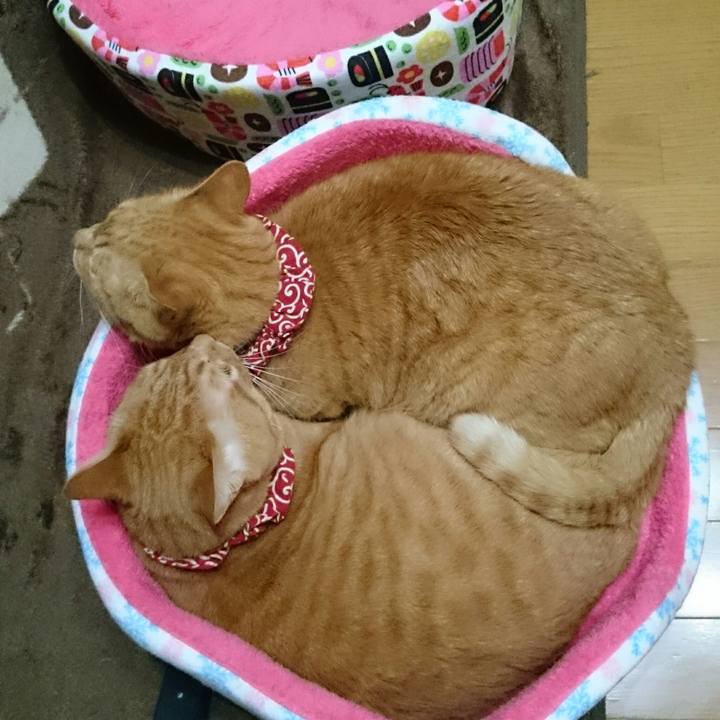 0f5480e0 1289 4e8f 8691 8019467659cb