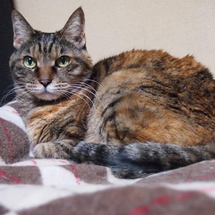 0f5487a9 fa66 48a9 913d fc56545e3812