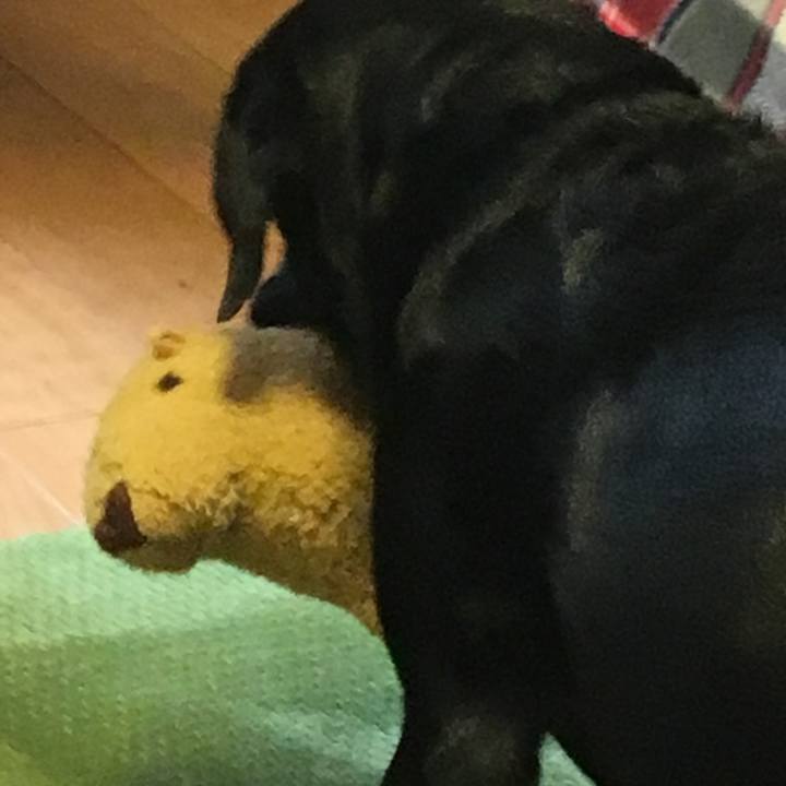 0f54b6b2 9354 4eee a723 740951565d4a