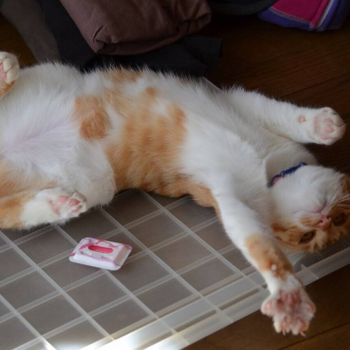 0f55499c 8bd0 4845 8483 74d33af0108c