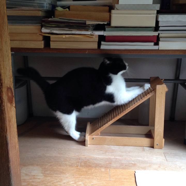 0f55541a a4fb 4d32 bef9 42223af35a12