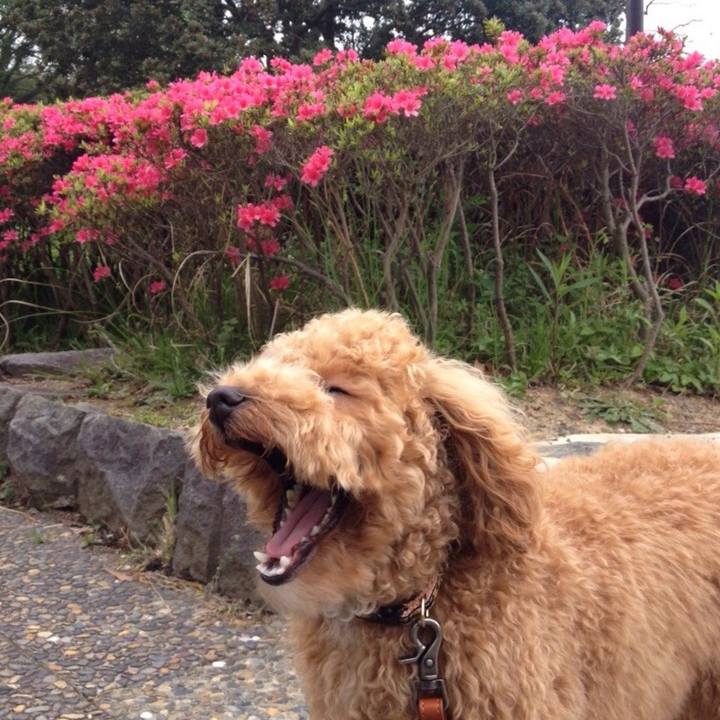 0f55ac79 bd58 41a5 9cad 2959789eacfe