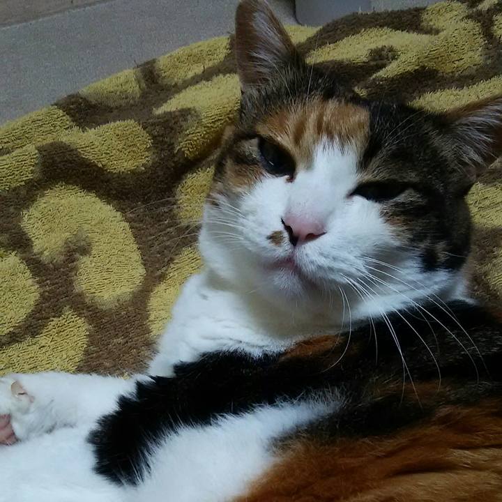 0f55ad06 0ed2 4e7c a945 1dfc0e670a08