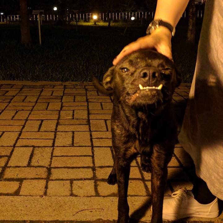 0f55d37a 65c5 4a68 9767 1bbffb5ae881