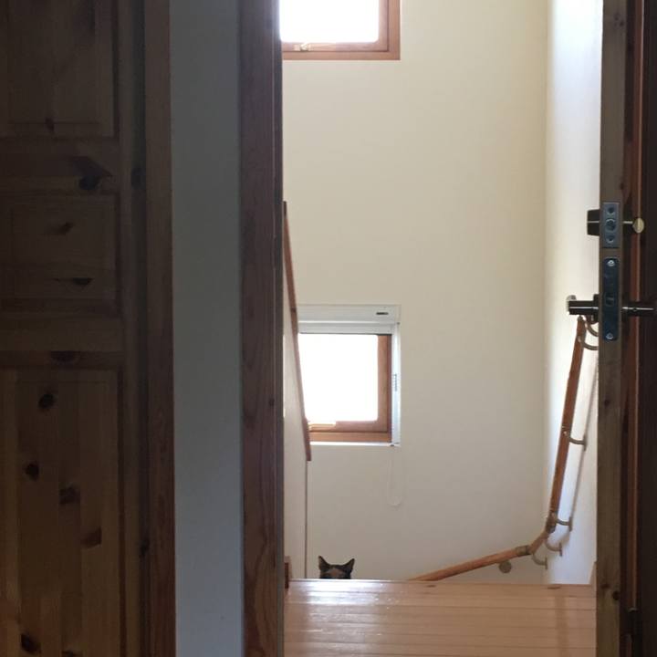 0f55d47b 8aa3 4278 ad0f 0564c839037c