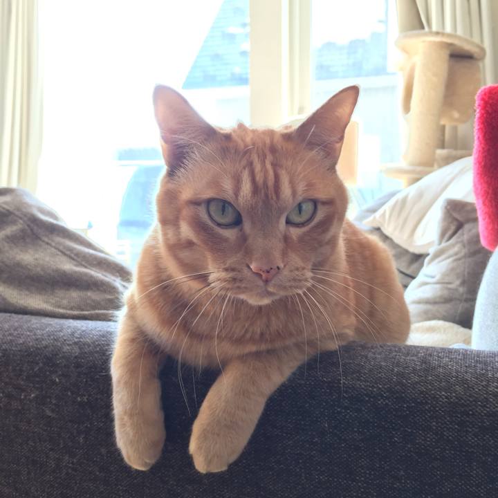 0f55fb73 67a7 40b4 817e 4c91a8b83672