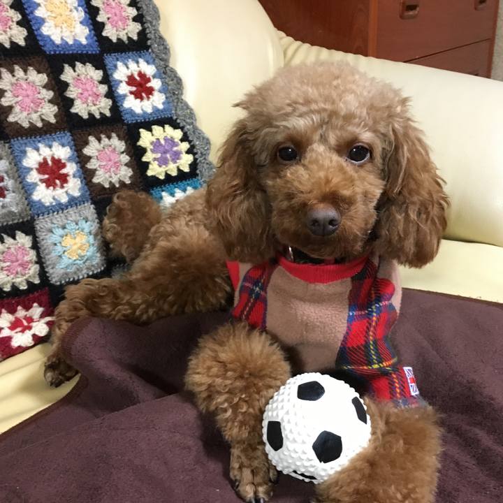 0f56a11a 6f59 48b2 88a7 a36a35e4871c